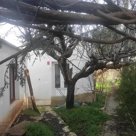 Apartment Di Nuova Costruzione Fra Alberi E Antichi Trulli *