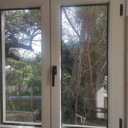 Di Nuova Costruzione Fra Alberi E Antichi Trulli * Martina Franca