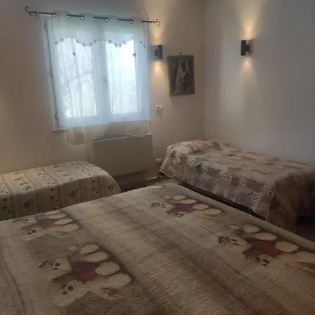 Di Nuova Costruzione Fra Alberi E Antichi Trulli Apartment