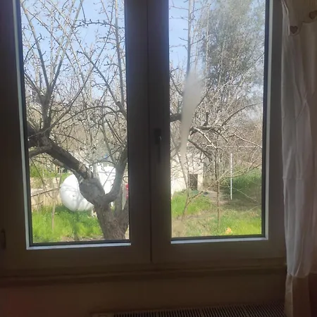 Apartment Di Nuova Costruzione Fra Alberi E Antichi Trulli *