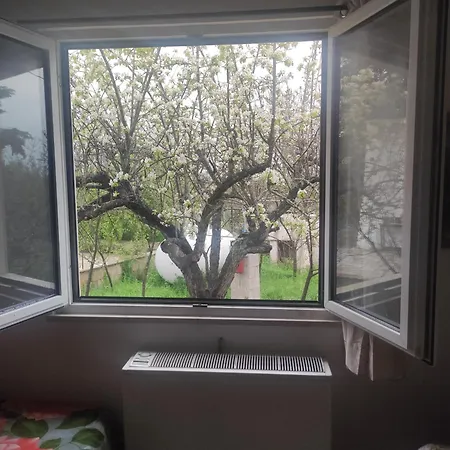 Di Nuova Costruzione Fra Alberi E Antichi Trulli *